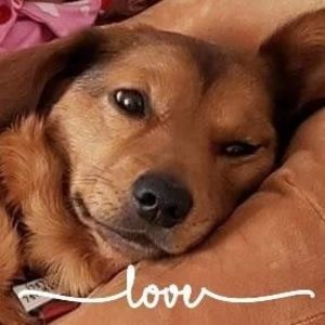 Meet your Posher, Maureen